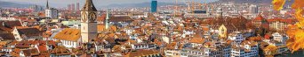 Купить мягкую кровлю Премиум Купить мягкую кровлю Премиум